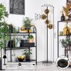 Ripoll Stehleuchte Glas 15 cm Gold, 4-flammig