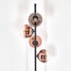 Koyoto Stehleuchte Glas 15 cm Klar, Kupferfarben, 4-flammig