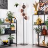 Koyoto Stehleuchte Glas 15 cm Klar, Kupferfarben, 4-flammig