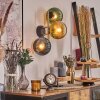 Koyoto Wandleuchte Glas 15 cm Gold, Schwarz, 3-flammig