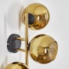 Koyoto Wandleuchte Glas 15 cm Gold, Schwarz, 3-flammig