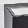 Lanor Außenwandleuchte LED Schwarz, 1-flammig