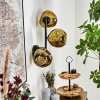 Ripoll Wandleuchte Glas 15 cm Gold, 3-flammig