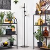 Koyoto Stehleuchte Glas 15 cm Klar, 3-flammig