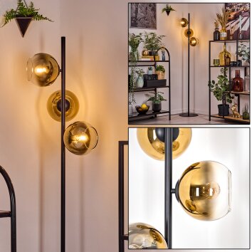 Koyoto Stehleuchte Glas 15 cm Gold, Klar, 3-flammig