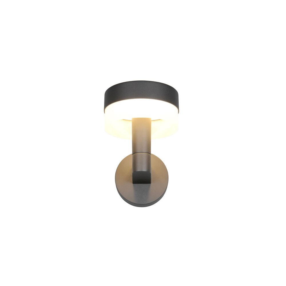 Trio MACKENZIE Wandleuchte LED Anthrazit, 1-flammig