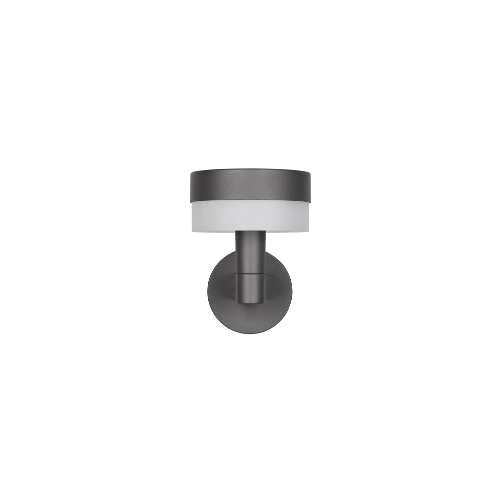 Trio MACKENZIE Wandleuchte LED Anthrazit, 1-flammig
