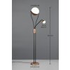 Trio Chris Stehlampe LED Braun, 2-flammig