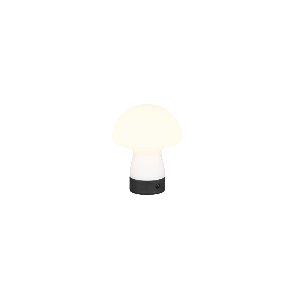 Reality Dooley Tischleuchte LED Weiß, 1-flammig main product photo