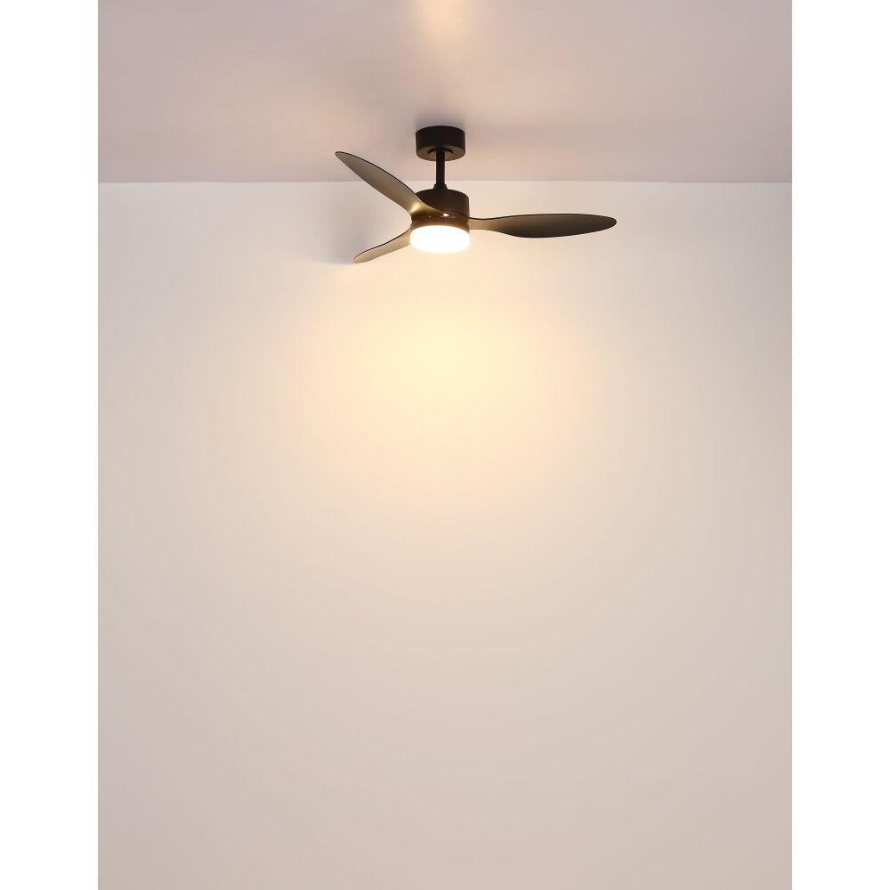 Globo Blackwell Deckenventilator LED Schwarz, 1-flammig, Fernbedienung