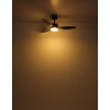 Globo Blackwell Deckenventilator LED Schwarz, 1-flammig, Fernbedienung
