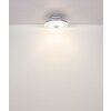 Globo Shelly Deckenventilator LED Weiß, 1-flammig, Fernbedienung