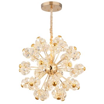 Globo Floriella Hängeleuchte LED Gold, 1-flammig