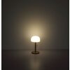 Pilz Look Globo Norman Tischleuchte LED Grün, 1-flammig
