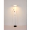 Globo Stanford Deckenleuchte LED Nickel-Matt, 1-flammig