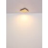Globo Hayden Deckenleuchte LED Naturfarben, Schwarz, 1-flammig