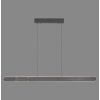 Paul Neuhaus Adriana Round Pendelleuchte LED Schwarz, 2-flammig