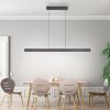 Paul Neuhaus Adriana Round Pendelleuchte LED Schwarz, 2-flammig