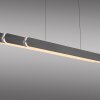 Paul Neuhaus Adriana Round Pendelleuchte LED Schwarz, 2-flammig