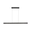 Paul Neuhaus Adriana Round Pendelleuchte LED Schwarz, 2-flammig
