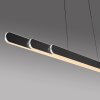 Paul Neuhaus Adriana Round Pendelleuchte LED Schwarz, 2-flammig