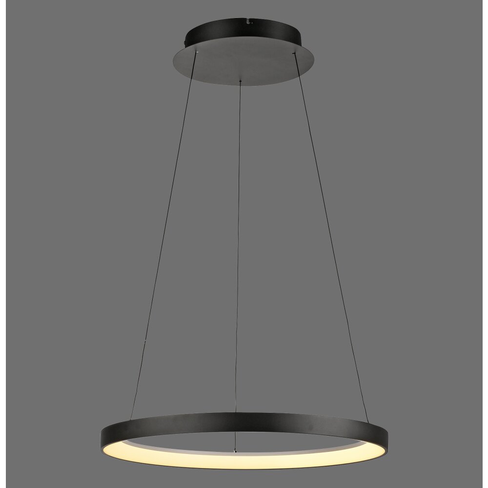 Paul Neuhaus Hoop Pendelleuchte LED Schwarz, 1-flammig main product photo