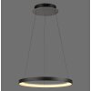 Paul Neuhaus Hoop Pendelleuchte LED Schwarz, 1-flammig
