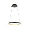 Paul Neuhaus Hoop Pendelleuchte LED Schwarz, 1-flammig