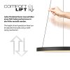 Paul Neuhaus Hoop Pendelleuchte LED Schwarz, 1-flammig