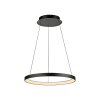Paul Neuhaus Hoop Pendelleuchte LED Schwarz, 1-flammig