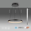 Paul Neuhaus Hoop Pendelleuchte LED Schwarz, 1-flammig