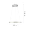 Paul Neuhaus Hoop Pendelleuchte LED Silber, 1-flammig