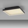 Paul Neuhaus Q-Magong Deckenleuchte LED Schwarz, 1-flammig, Fernbedienung