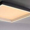 Paul Neuhaus Q-Magong Deckenleuchte LED Schwarz, 1-flammig, Fernbedienung