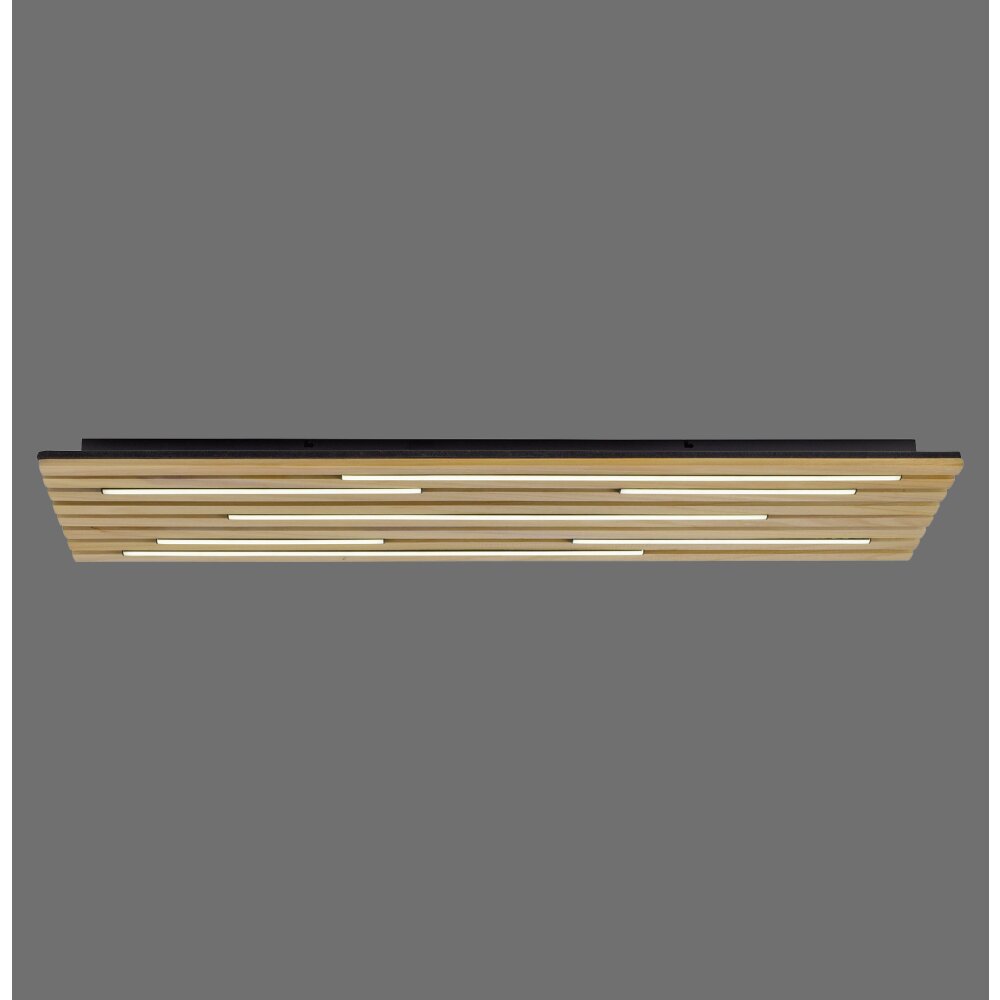 Paul Neuhaus Q-Akustik Wand- und Deckenleuchte LED Braun, Schwarz, 1-flammig, Fernbedienung main product photo
