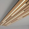Paul Neuhaus Q-Akustik Wand- und Deckenleuchte LED Braun, Schwarz, 1-flammig, Fernbedienung