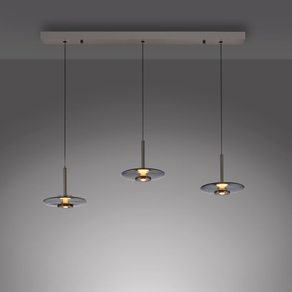 Paul Neuhaus PURE Vitrum Pendelleuchte LED Grau, 6-flammig