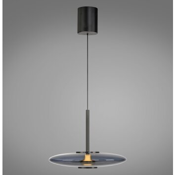 Paul Neuhaus PURE E-Vitrum Pendelleuchte LED Grau, 2-flammig, Fernbedienung