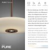 Paul Neuhaus PURE E-Vitrum Pendelleuchte LED Braun, 2-flammig, Fernbedienung