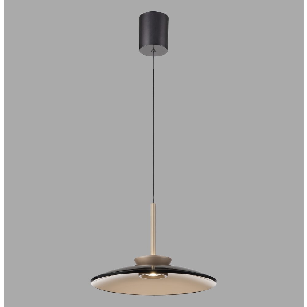Paul Neuhaus PURE E-Moon Pendelleuchte LED Bronze, 2-flammig, Fernbedienung main product photo