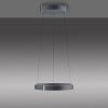 Paul Neuhaus PURE E-Clipse Pendelleuchte LED Grau, 2-flammig, Fernbedienung