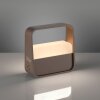 Paul Neuhaus PURE Go Tischleuchte LED Bronze, 1-flammig