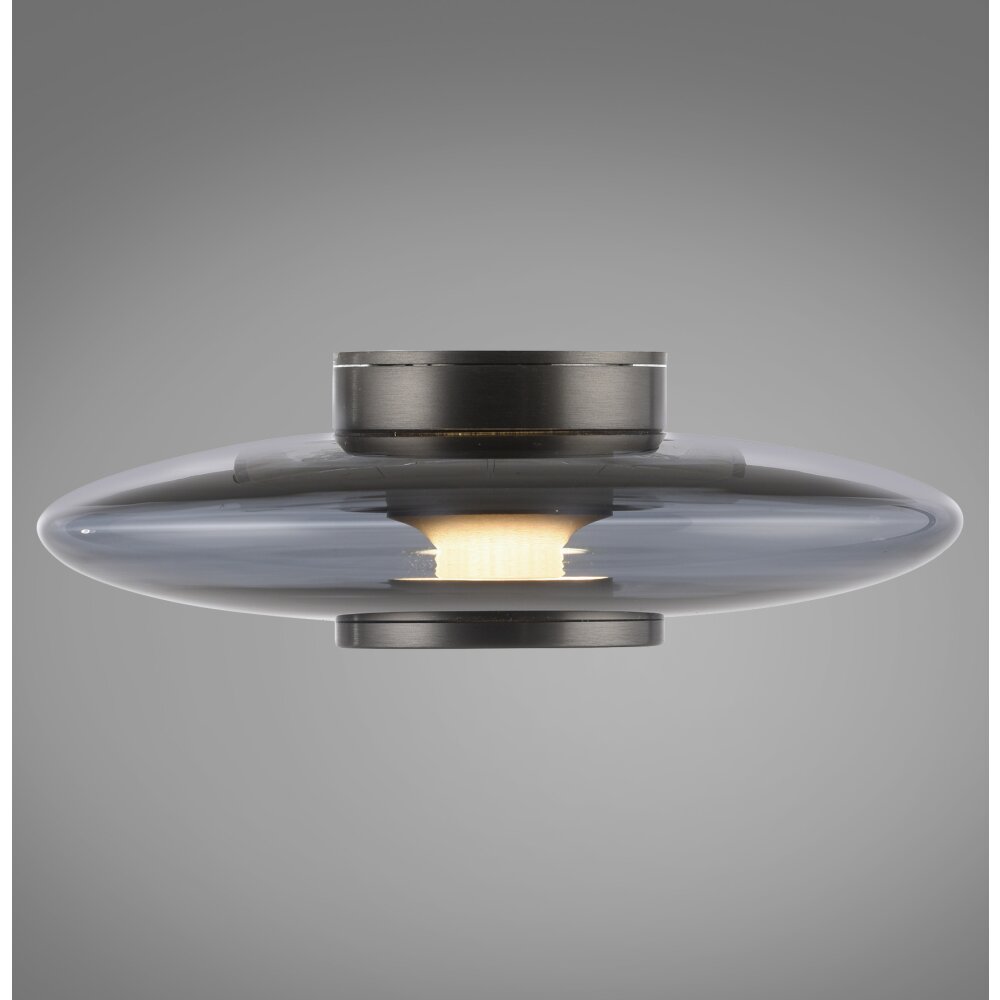 Paul Neuhaus PURE Vitrum Wand- und Deckenleuchte LED Grau, 1-flammig main product photo