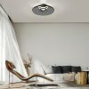 Paul Neuhaus PURE Moon Deckenleuchte LED Grau, 2-flammig