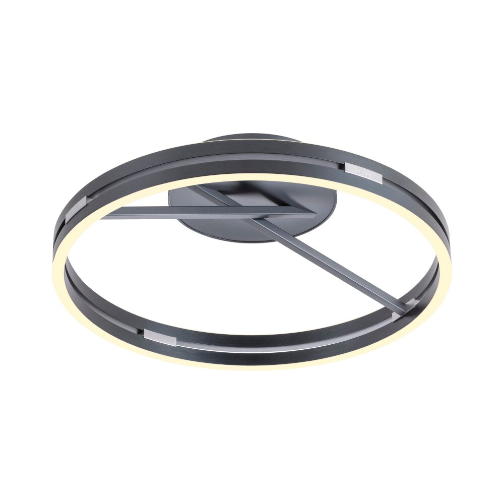 Paul Neuhaus PURE Loop Deckenleuchte LED Grau, 2-flammig, Fernbedienung