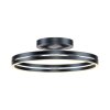 Paul Neuhaus PURE Loop Deckenleuchte LED Grau, 2-flammig, Fernbedienung