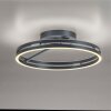 Paul Neuhaus PURE Loop Deckenleuchte LED Grau, 2-flammig, Fernbedienung