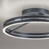 Paul Neuhaus PURE Loop Deckenleuchte LED Grau, 2-flammig, Fernbedienung