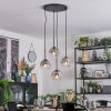 Ripoll Hängeleuchte Glas 15 cm Klar, Rauchfarben, 4-flammig