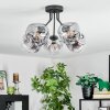 Ripoll Deckenleuchte Glas 15 cm Klar, Rauchfarben, 5-flammig